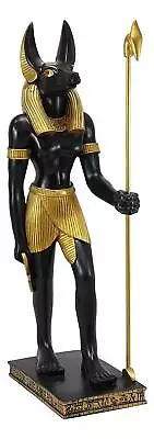Large Egyptian God Of The Dead Mummification Anubis With Was Staff Statue 21.5"H