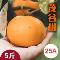 在飛比找台灣好農優惠-【雙連梨】茂谷柑禮盒/5斤(25A)