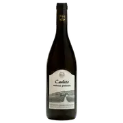 Giangirolami Malvasia Puntinata Cardito IGP 2017 - Buy Online | The Wine Collective Marketplace