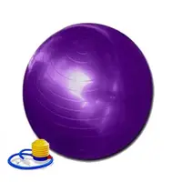 在飛比找PChome24h購物優惠-75CM 瑜珈球/抗力球/瑜伽健身球/紫色