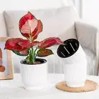 Self Watering Water-absorbing Flower Pot Water Planting Pots