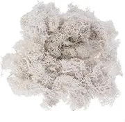 LALAFINA Preserved Artificial Fern Moss Bulk for DIY Projects Wedding Arch Flowers 50g Terrarium Kit