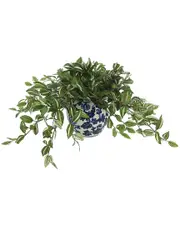 Creative Displays Wandering Jew Plant In A Ceramic Vase
