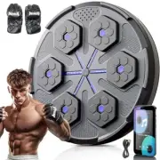 Music Boxing Machine, Bluetooth Wall Mounted Music Boxing Trainer with Boxing