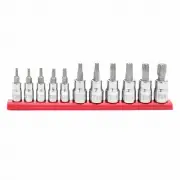 Master Mechanic TV1438119 11-Pc. Torx Bit Socket Set, 1/4 & 3/8 in. Drive -
