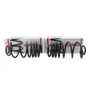Rear Coil Spring Kit Lesjofors For Chevrolet Monte Carlo Pontiac Grand Prix (for: Chevrolet)