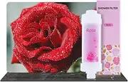Vitamin C Shower Filter, Filters Contaminants, Neutralize Chlorine, Remove Heavy Metals, Easy Installation, Filtered Shower Water for Healthier Skin & Hair, Gifts for Wives and Girlfriends (Rose)