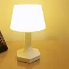 USB power Desk Lamp Two Colors Switch Night Light Decoration Lamp Study