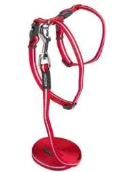 Rogz Alleycat Harness & Lead Set - Red XSmall