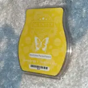 Scentsy Wax Bar Here Comes the Sun(flowers) Scent NEW 3.2 fl oz