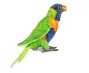 Hansa - Rainbow Lorikeet - Realistic Poseable Animal Stuffed Plush Toy - 25cm