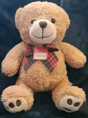 Go! Games - Plush Teddy Bear with Plaid Bow - Hello My Name Is CHARLIE