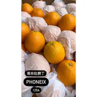 在飛比找蝦皮購物優惠-『Tai新鮮專業水果批發』南非原裝進口肚臍丁  香吉士 防疫