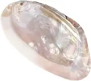 Pokinge Vintage Shell Jewelry Dish Tray Handcrafted Trinket Displays Dish Stand Decorative Seashell Bracelet Pendant Ring Organizer for Women Girls