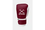 Custom Evolution Boxing Gloves