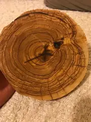 Olive wood woodworking very old tree