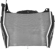 Engine Radiator Fit for BMW S1000 RR 2015-2018 S1000RR Motorcycle Replacement Radiator Water Cooling Cooler System Aluminum Accessories Radiator Grille