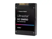 WD Ultrastar DC SN650 WUS5EA176ESP5E3 7.68 TB Solid State Drive - 2.5" Internal