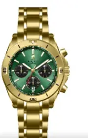 Roberto Carati Apollo Yellow Gold Toned Men's Watch AS6011-V8