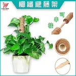 椰纖棒 可串接【好家在購物-附發票】龜背芋攀爬 爬藤植物 爬藤架 爬藤支架 植物爬藤架  攀爬架