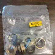 OEM Kit 71: Complete Seal Packings for Bertolini Pumps, P/N 079841973