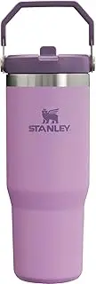 [STANLEY] IceFlow 2.0 Flip Straw Tumbler with Handle 30 oz | Twist On Lid and Flip Up Straw | Leakproof Water Bottle | Insulated Stainless Steel | BPA-Free | Lilac
