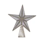 Holly & Ivy Mirrored 5 Point Tree Topper Star Champagne 17cm