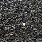 Avigrain Black Sunflower 15KG Bird Seed Mix Food Birds Feeding Avian