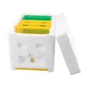 Beekeeping Tools Mini Nucleus Hive Package Content Unique Construction