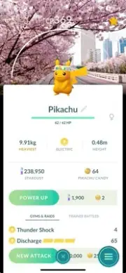 Shiny Pikachu Flower Hat Background Spring Blossom -Trade 20k - Read Description