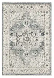 Austin Transitional Versatile Rug - 2201 Lt. Blue