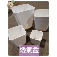 在飛比找蝦皮購物優惠-【弘藝園藝】透氣盆4個尺寸、多肉花盆、花盆、四方盆、透氣加高