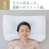在飛比找Yahoo!奇摩拍賣優惠-日本製 新版 王樣の極夢枕 王樣的夢枕 極夢枕 可水洗 極柔