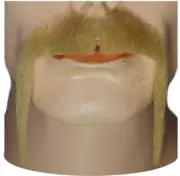 Must M11l Fu Man Hu C Blonde 2 - Lacey Wigs