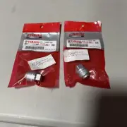 -NEW- Yamaha 67F-11325-00 , Cylinder Head Zinc Anode - 2 Pack