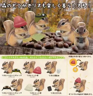 【動漫瘋】 日本正版 代理 扭蛋 轉蛋 松鼠物語 奇奇帝帝 全6種 整套販售 公仔 [非 吼的野生動物 休眠動物園 ]