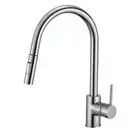 Accent Allure Kitchen Mixer Tap with Pull-Down Spout - Chrome