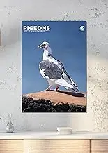 Pigeons Calendar 2026