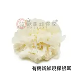 【歐廚到你家】有機新鮮現採銀耳 300G±5%