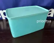 Tupperware Freezer It Mates Plus Snowflake Medium Deep Container 12c Blue New