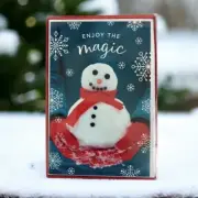 Christmas Cards American Greetings Enjoy the Magic 16 Pack with Envelopes NEW