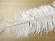 Small Chick Feathers White - per Pack of 10