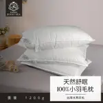 【JENNY SILK 蓁妮絲生活館】MIT 100%水鳥羽毛舒眠枕(舒眠款1.2KG 2入)