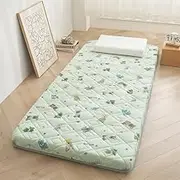 Floor Mattress Single, Soft Futon Mattress Japanese Tatami Mat Portable Roll Up Folding Sleeping Bed Pad for Home Camping Couch(Strawberry,90x190cm)