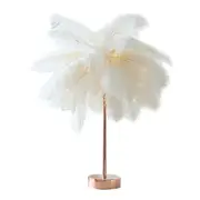 Bedside Table LED Lamp Feather Copper Wire Remote Control Living Room Desk Light White