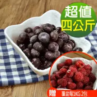 在飛比找momo購物網優惠-【幸美生技】冷凍栽種藍莓4包組1kg4包美國原裝進口(加贈覆