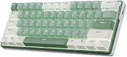 RK ROYAL KLUDGE RK61 Plus Mechanical Keyboard,Tactile Pale Green Switches