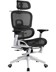 [Furb] Ergonomic Office Chair in Black/White