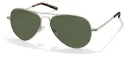 POLAROID-PLD 1017/S-3YG-6014-SUNGLASSES