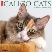 2025 Calico Cats Wall Calendar